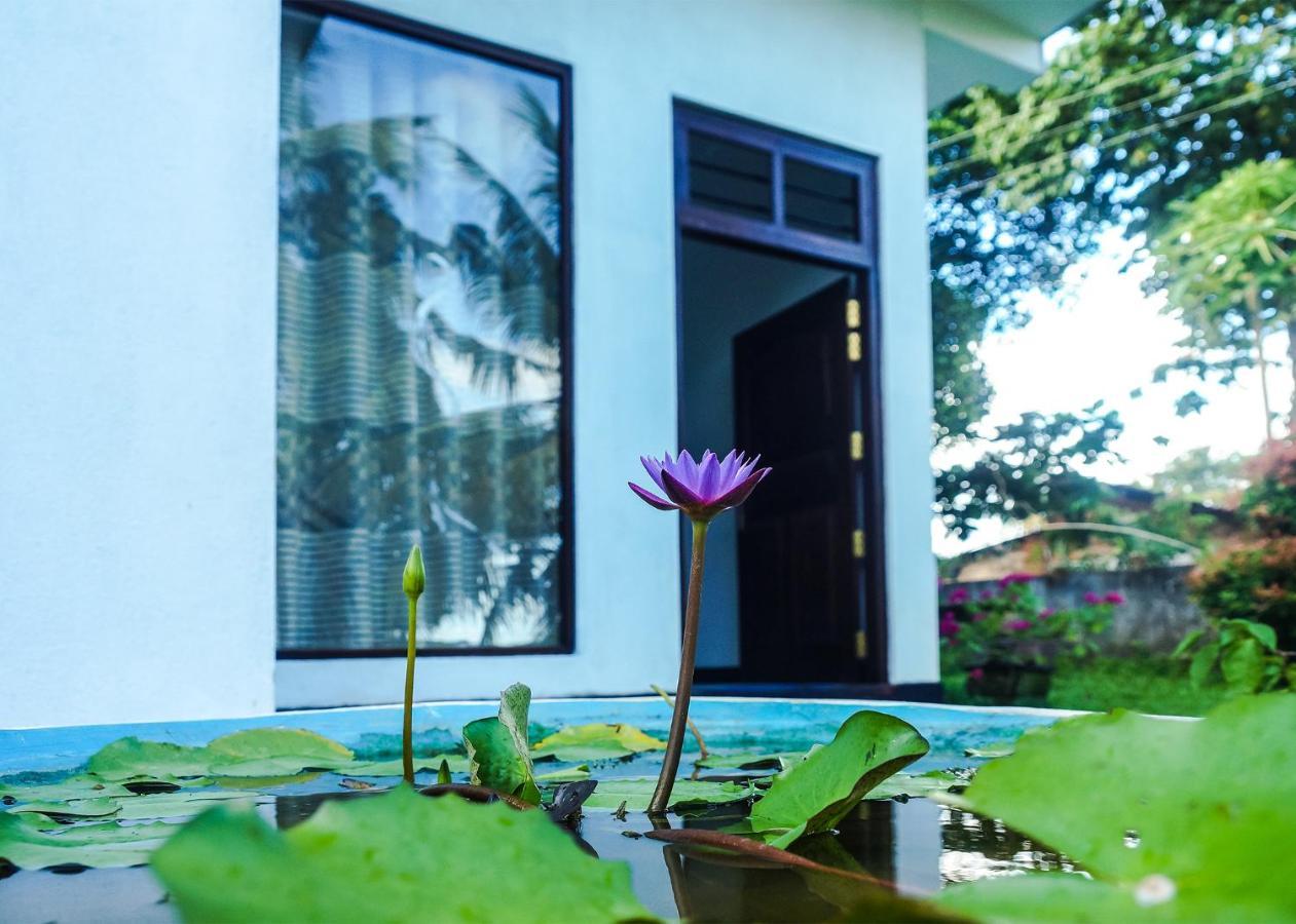 Plantation Inn เวลิกามา ภายนอก รูปภาพ