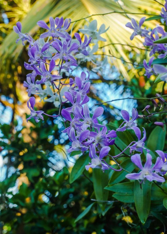 Plantation Inn เวลิกามา ภายนอก รูปภาพ